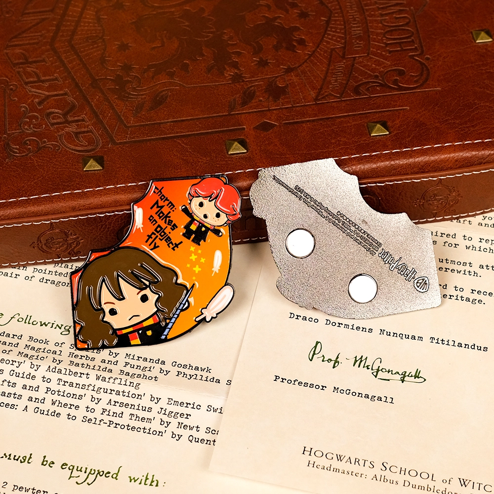 HARRY POTTER diy