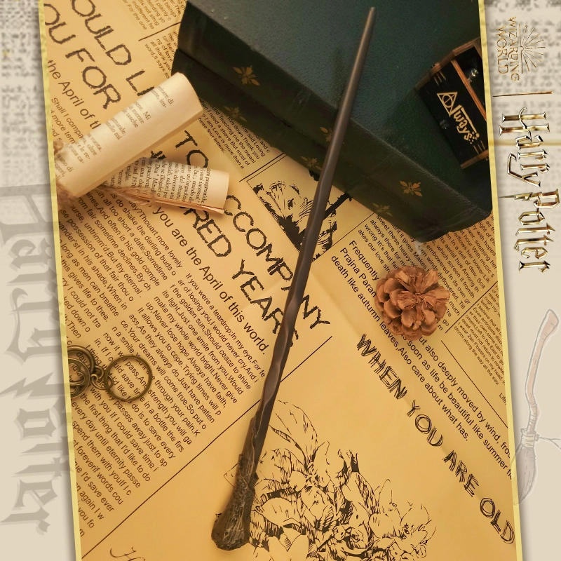 HARRY POTTER IP