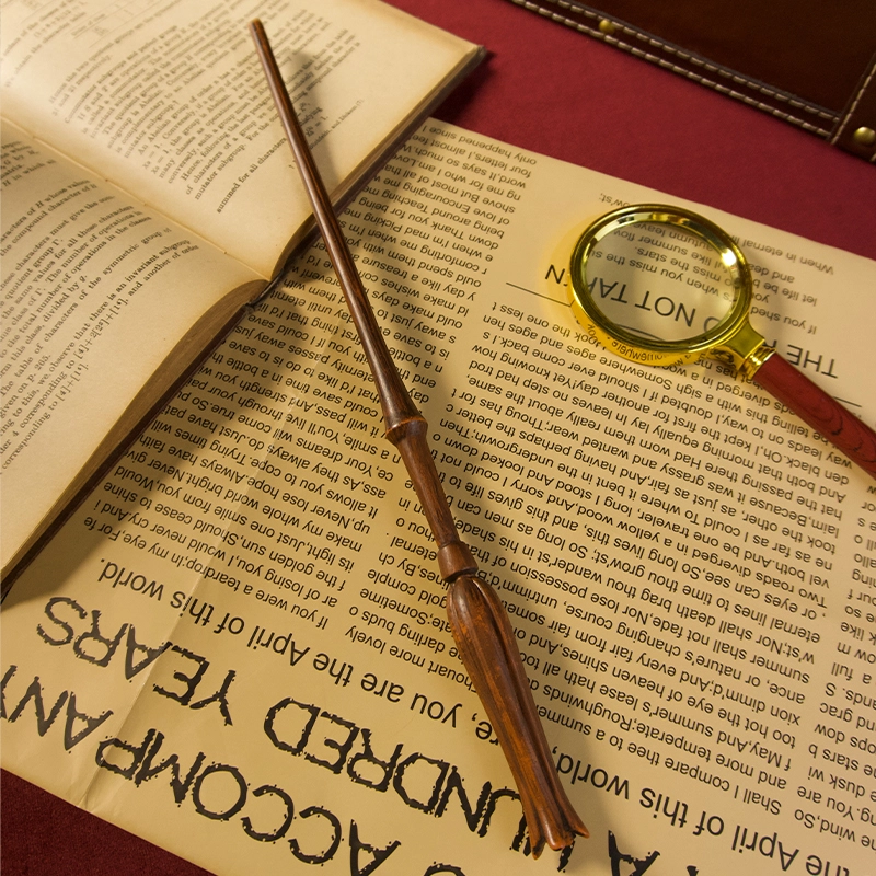 HARRY POTTER IP