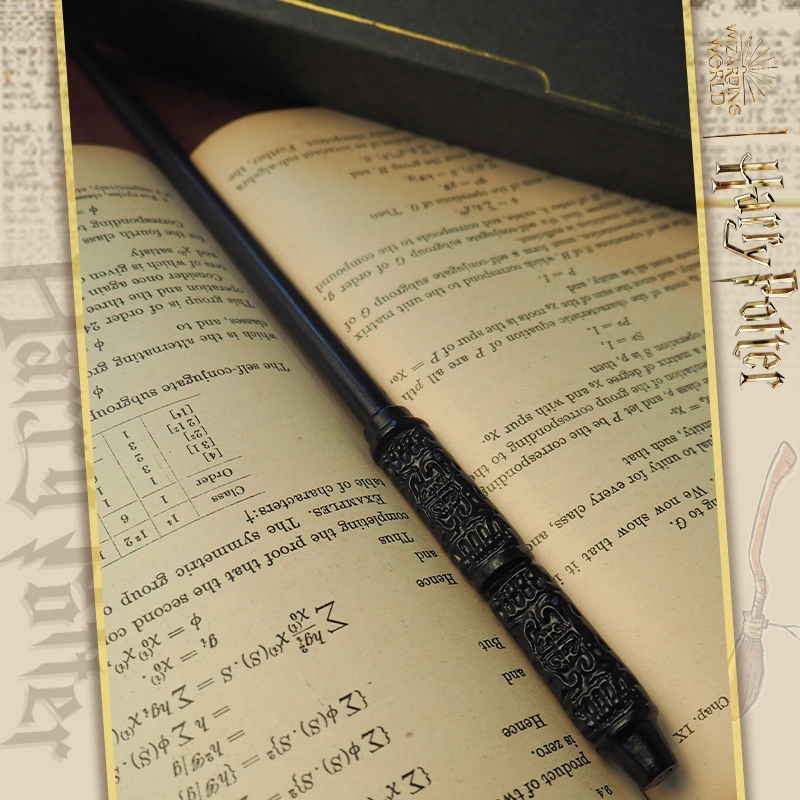 HARRY POTTER IP