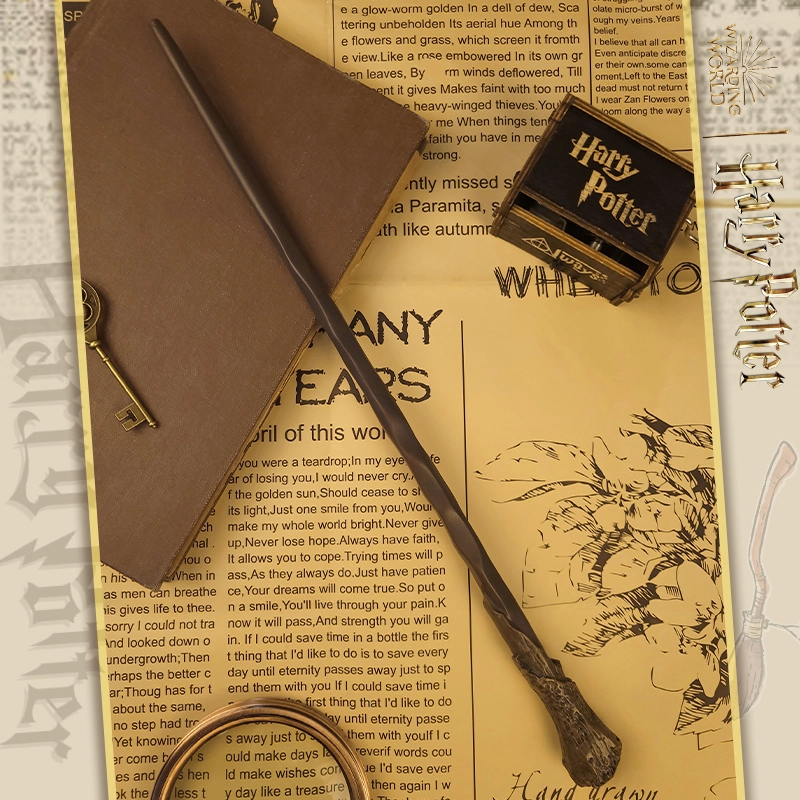 HARRY POTTER IP