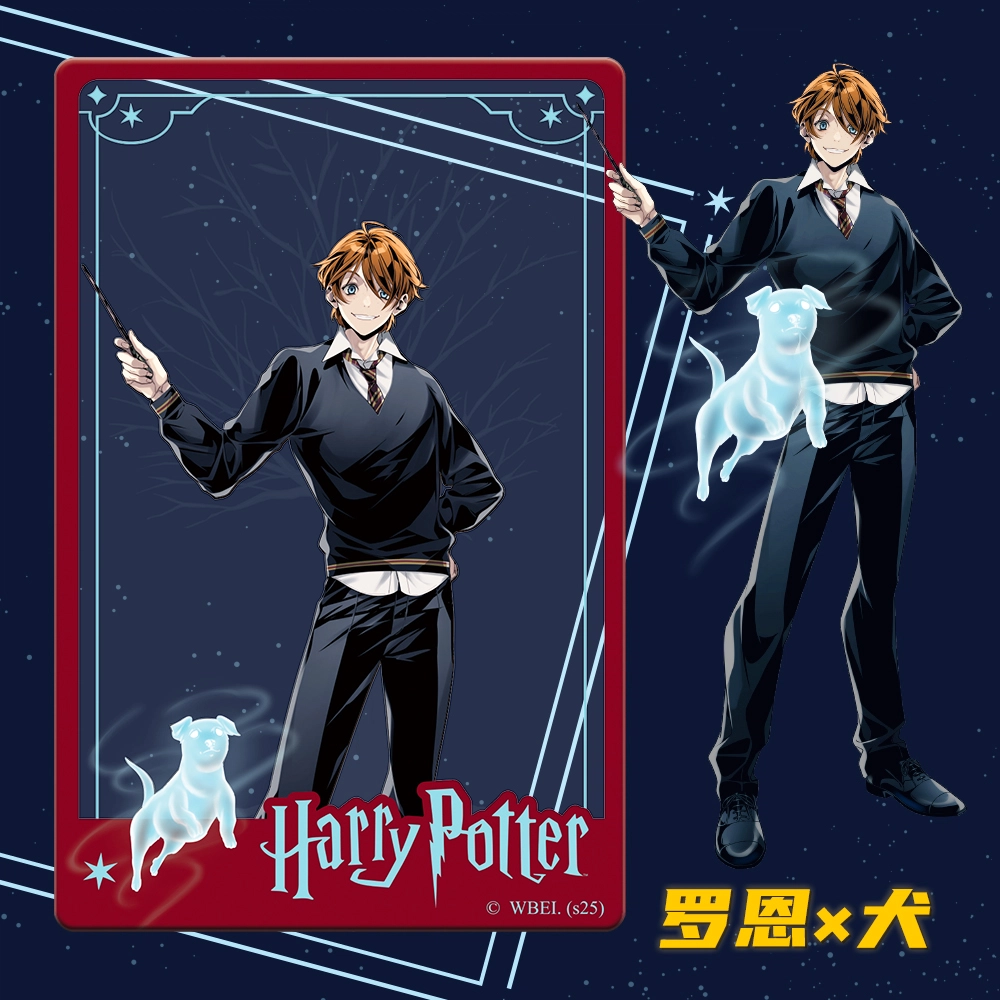 HARRY POTTER PVC