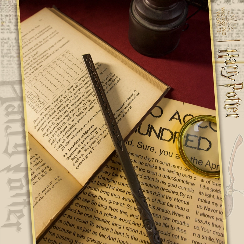 HARRY POTTER IP