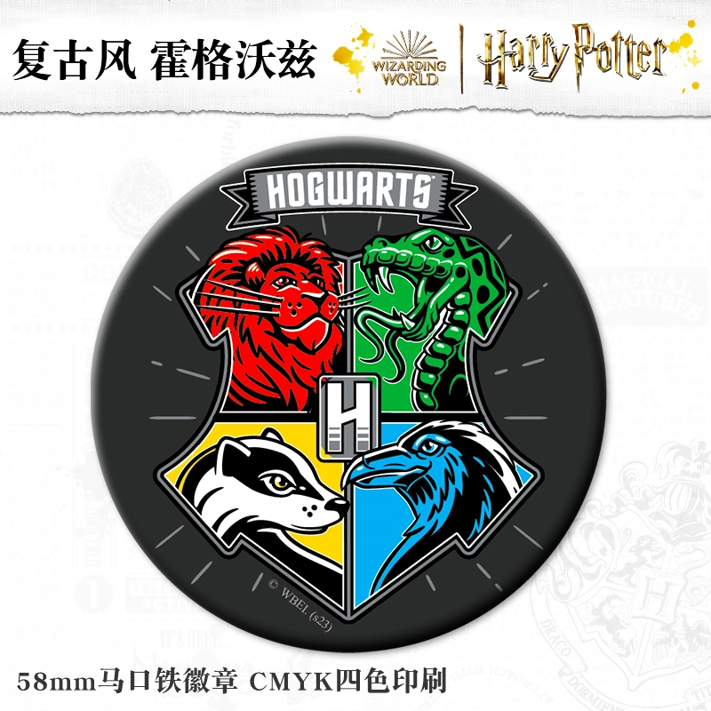 HARRY POTTER