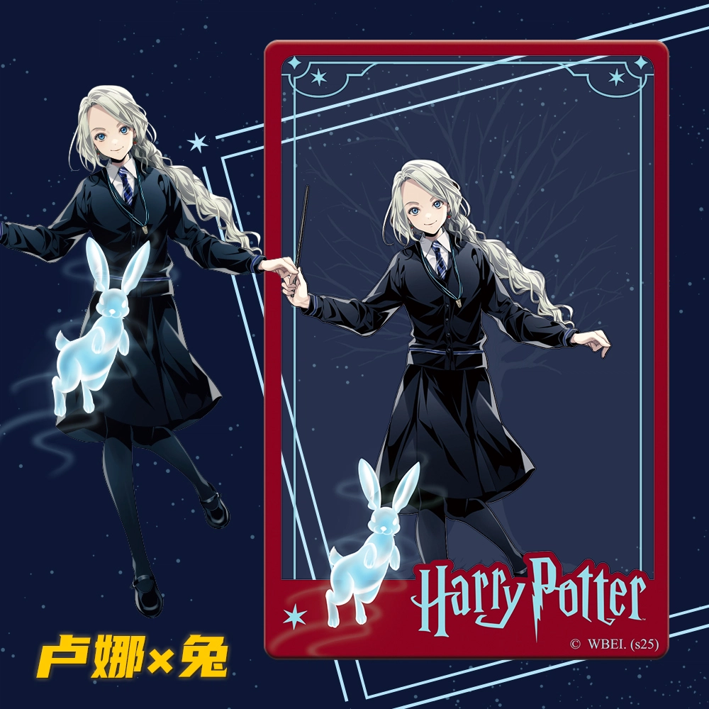 HARRY POTTER PVC