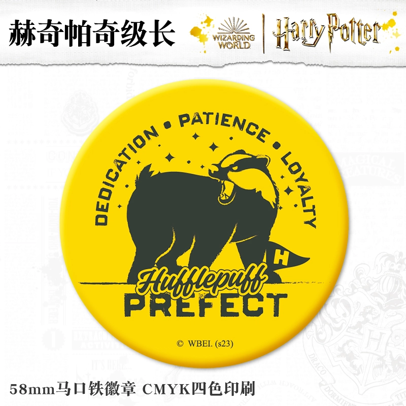HARRY POTTER