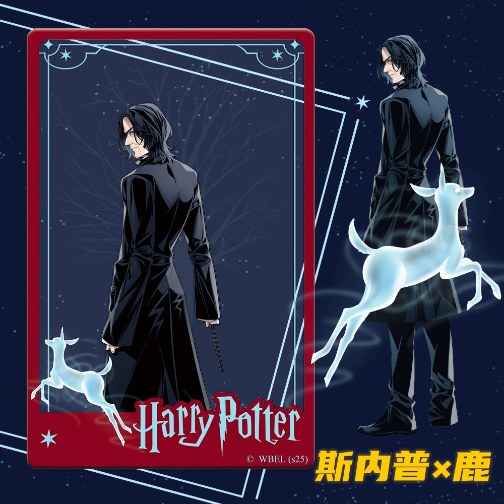 HARRY POTTER PVC