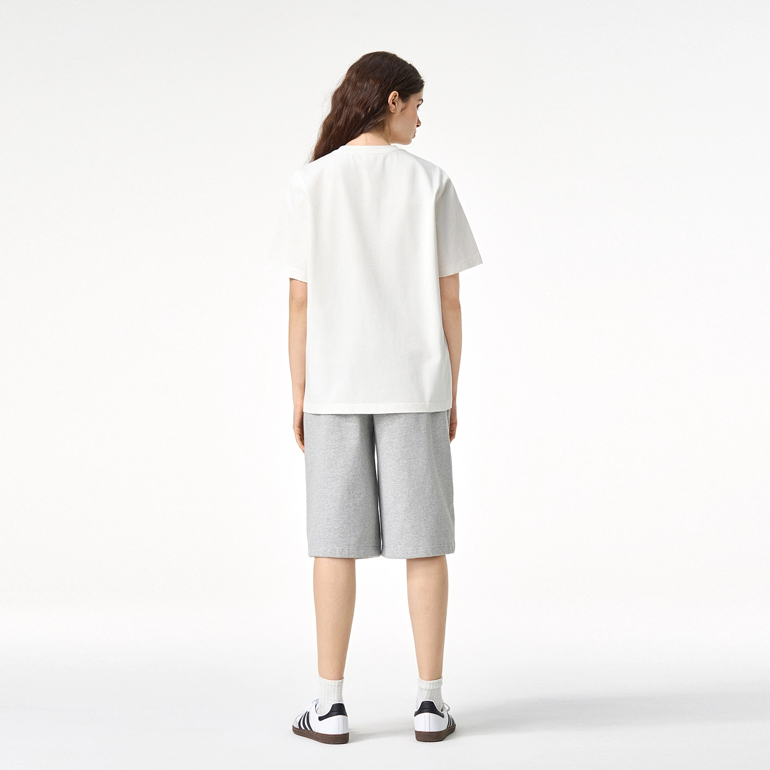 ICONS Lab ICS T