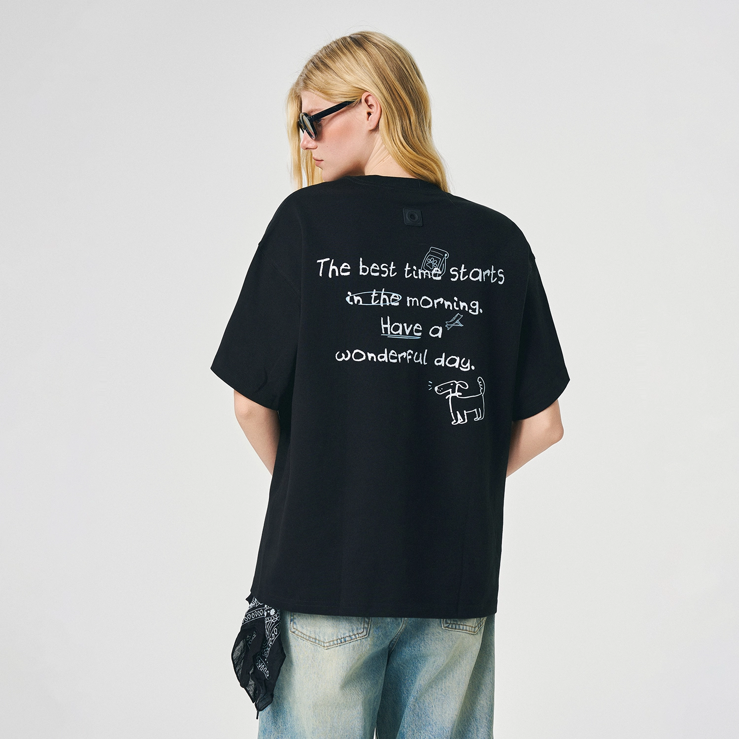 ICONS Lab ICS T