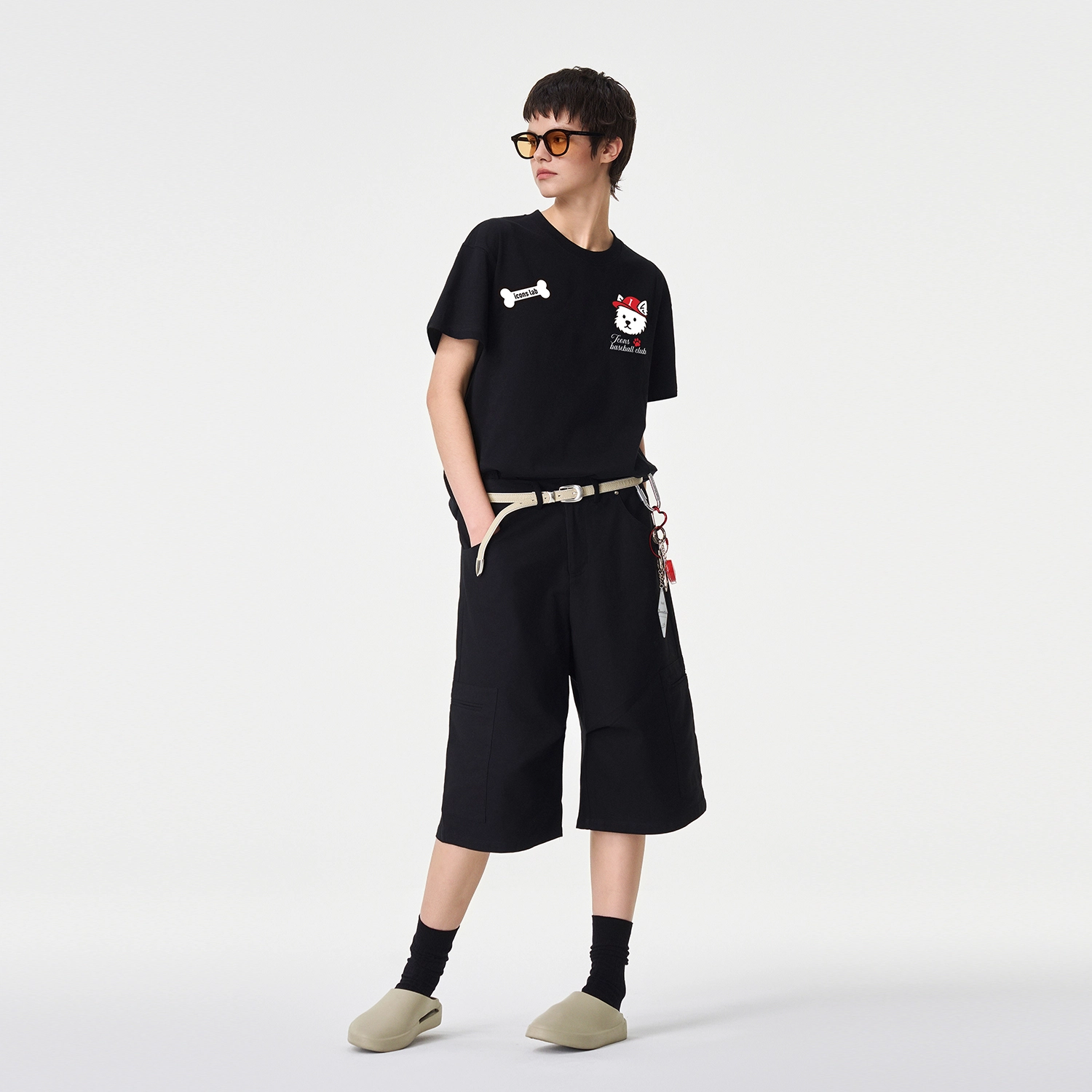 ICONS Lab ICS T