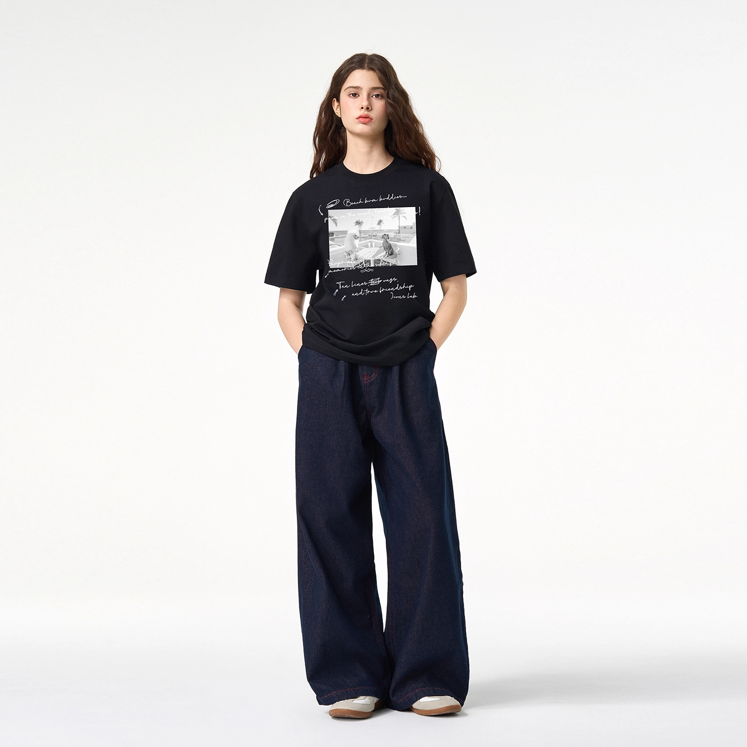 ICONS Lab ICS T