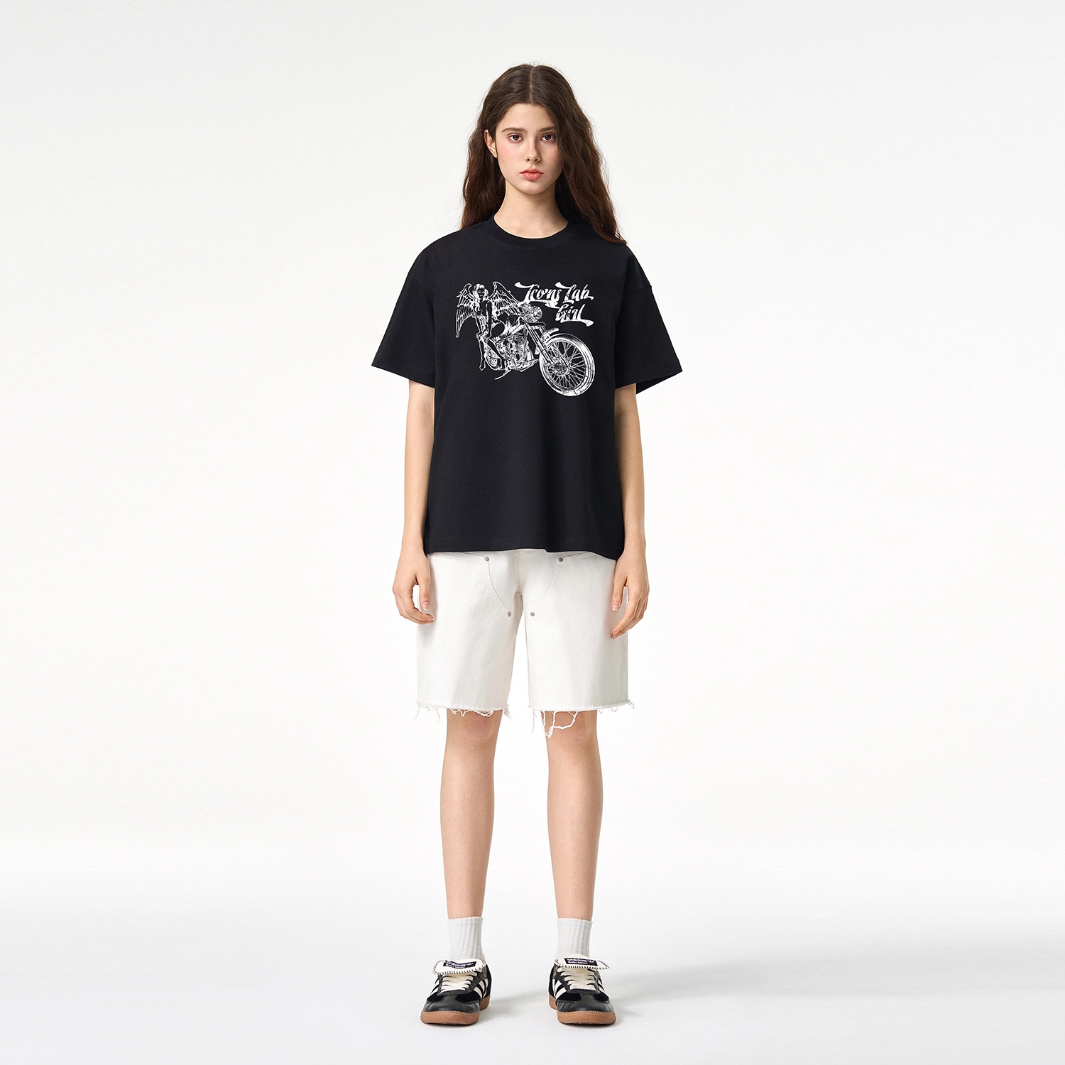 ICONS Lab ICS T
