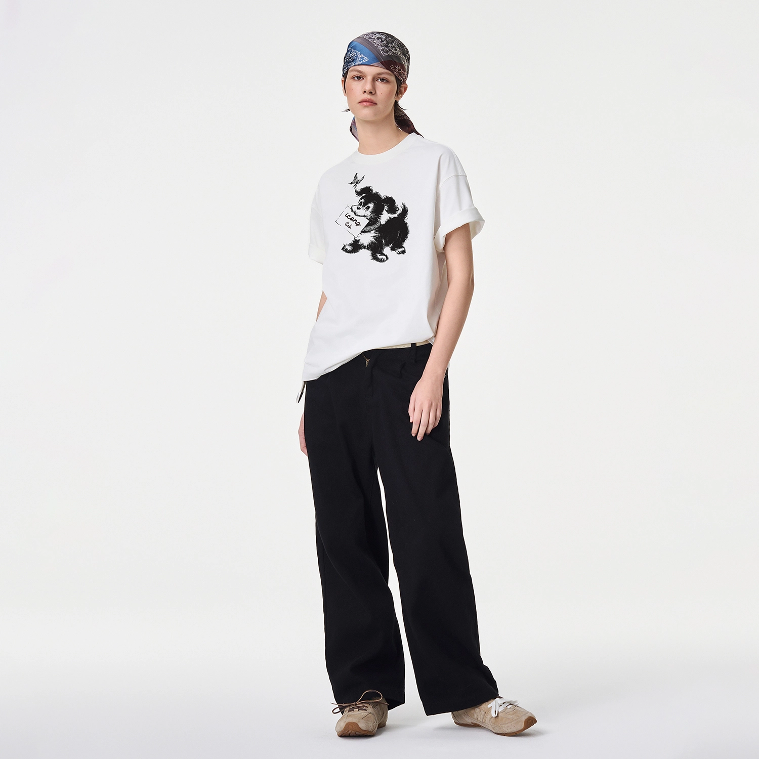 ICONS Lab ICS T