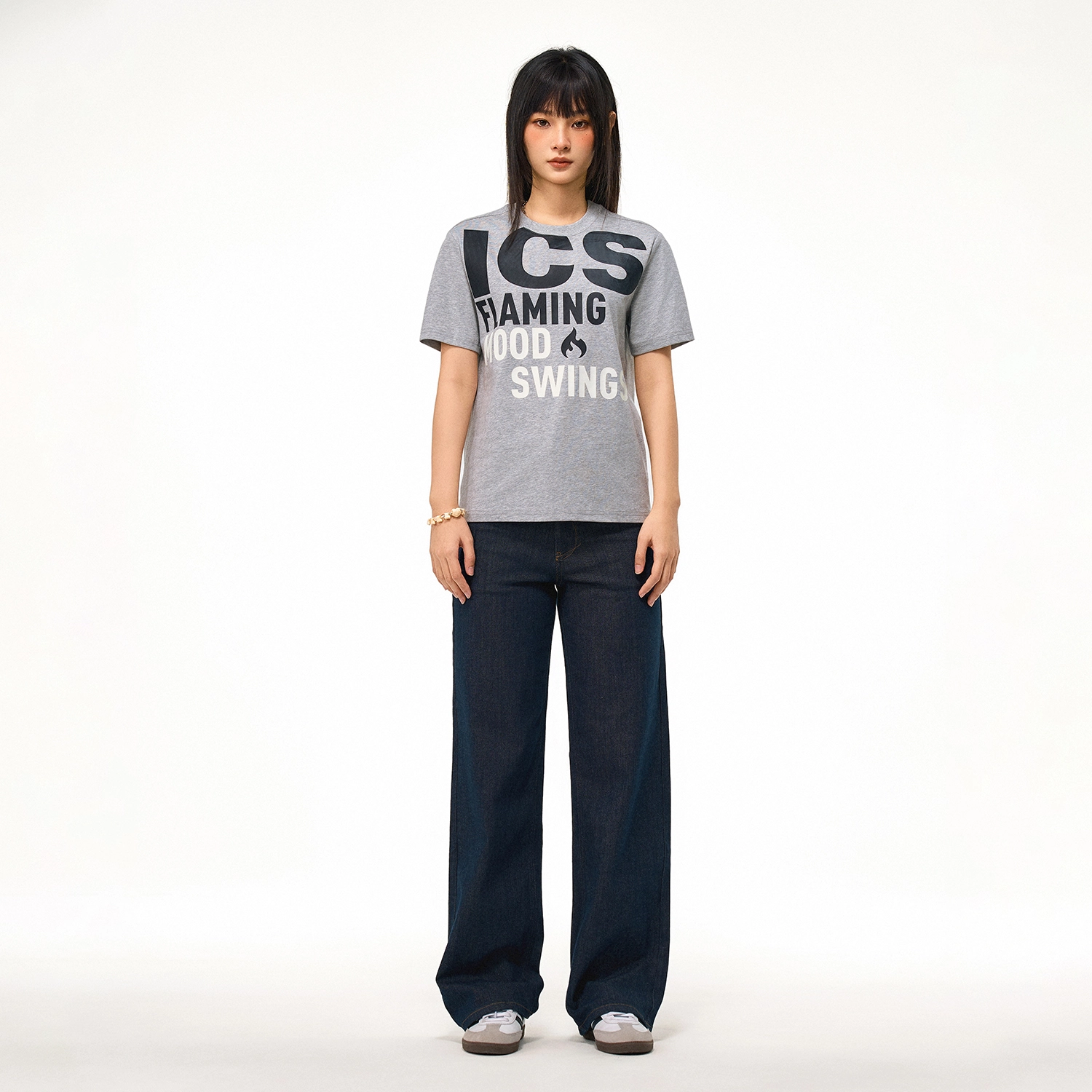 ICONS Lab ICS T