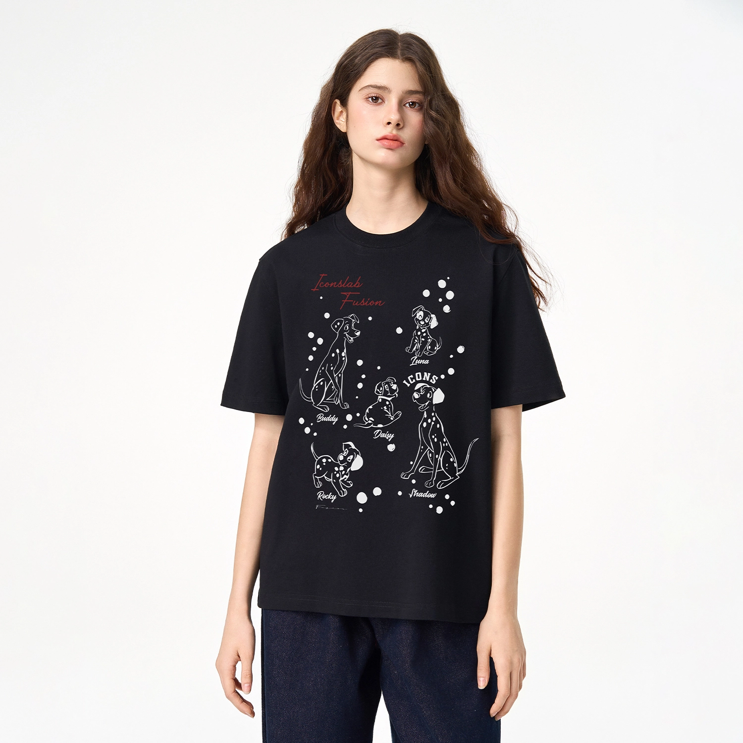 ICONS Lab ICS T