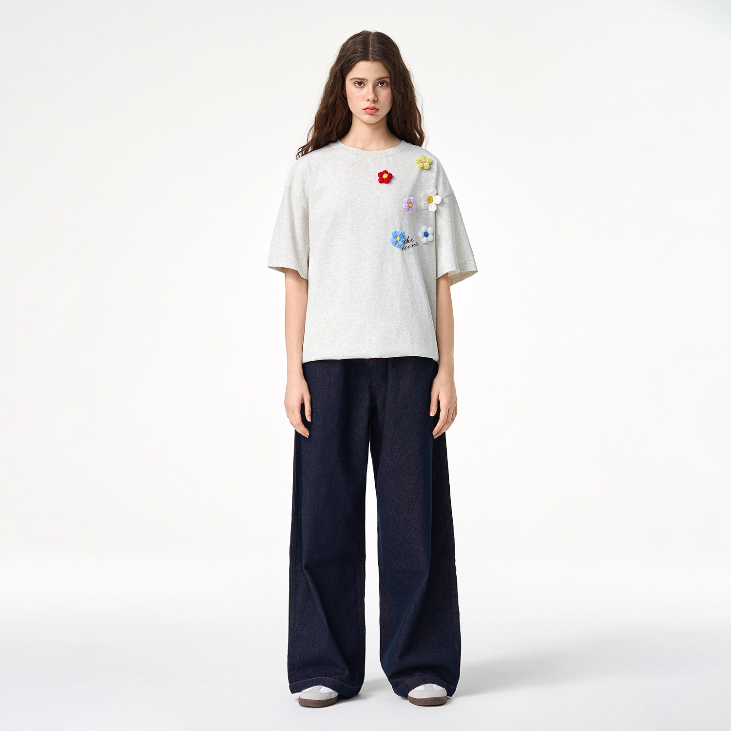 ICONS Lab ICS T