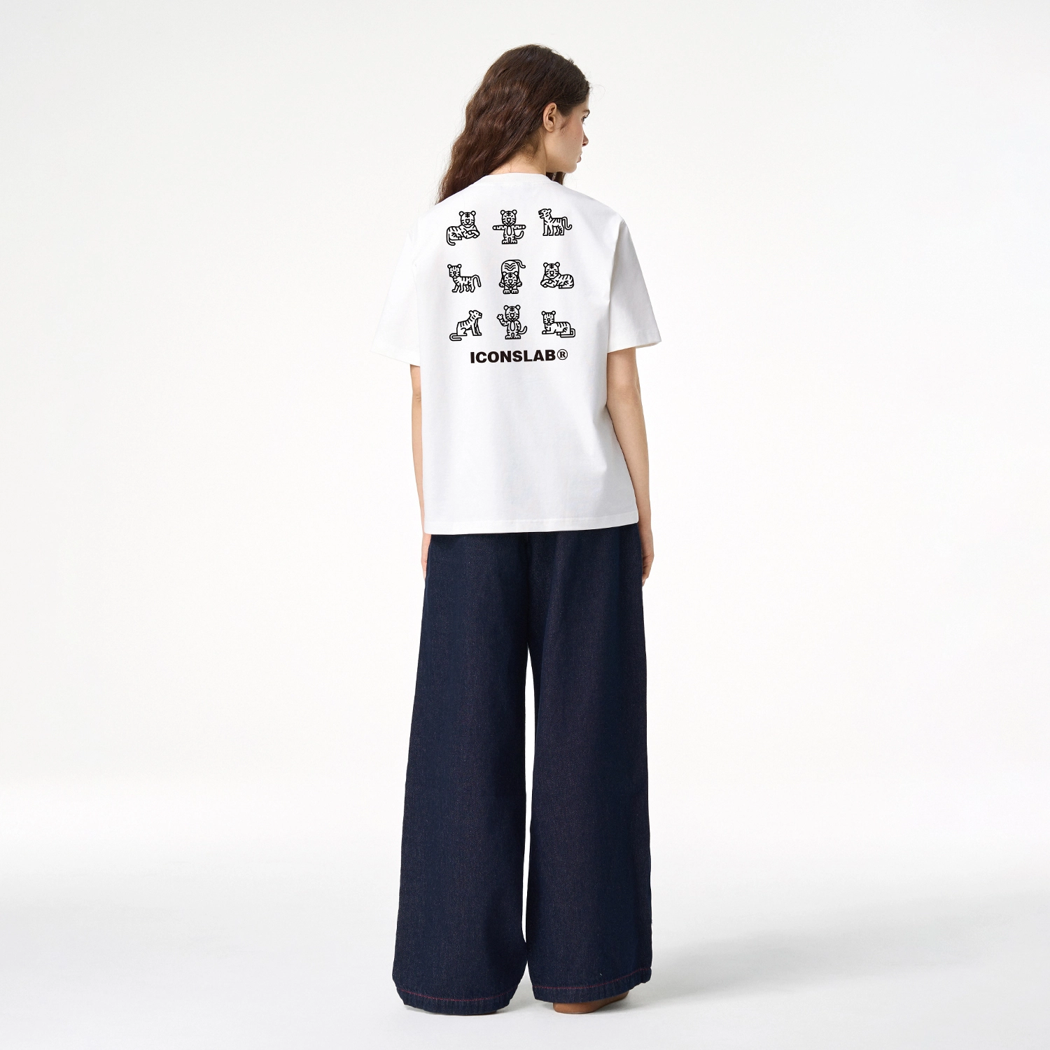 ICONS Lab ICS T