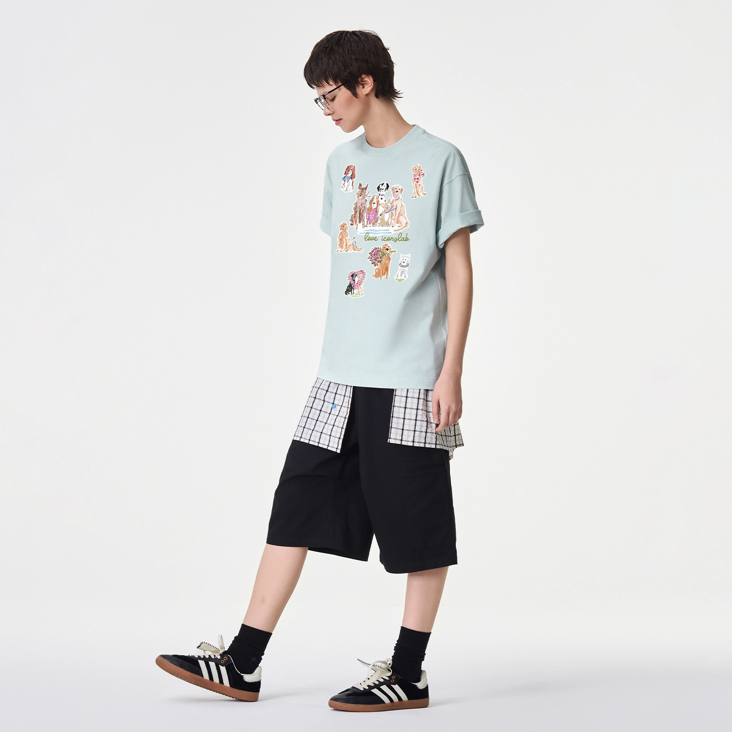 ICONS Lab ICS T