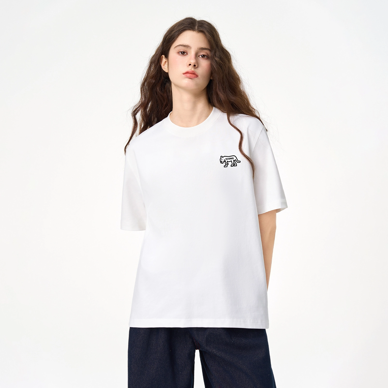 ICONS Lab ICS T