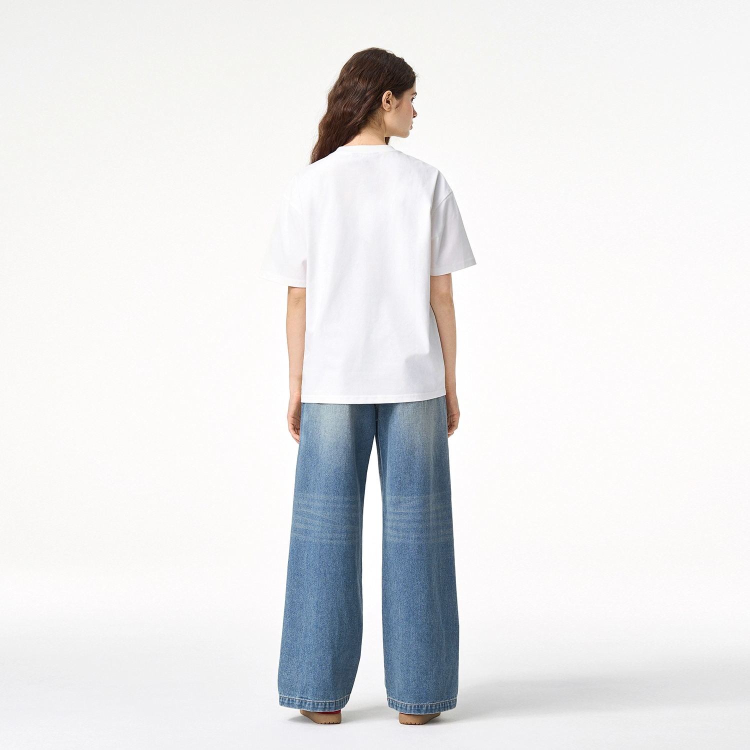 ICONS Lab ICS T
