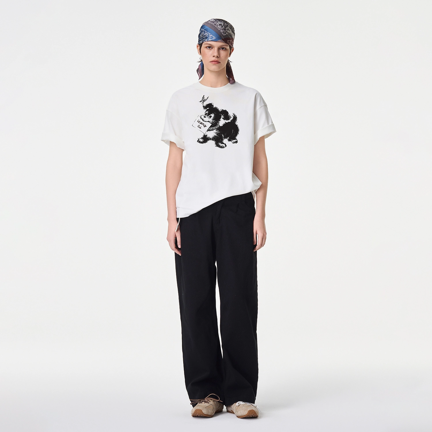 ICONS Lab ICS T