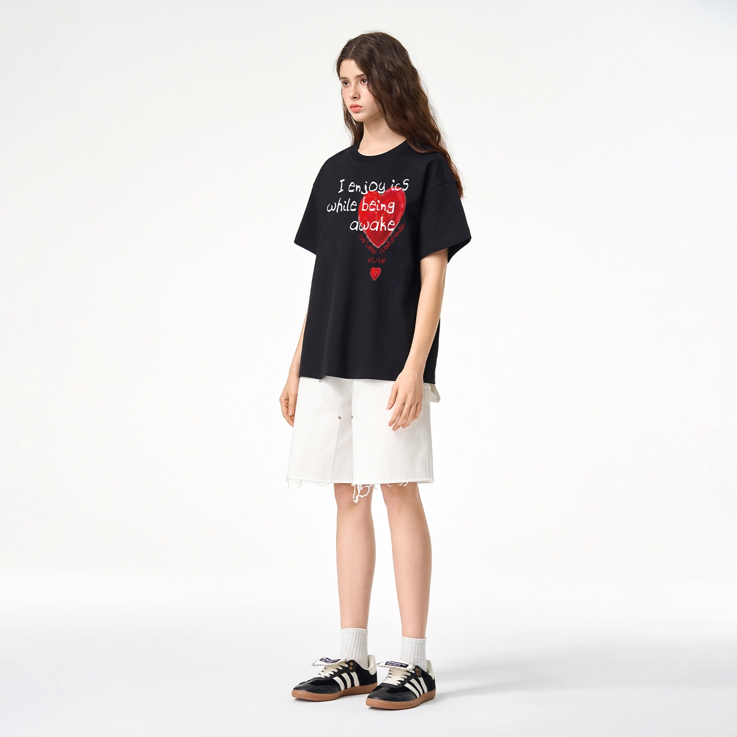 ICONS Lab T
