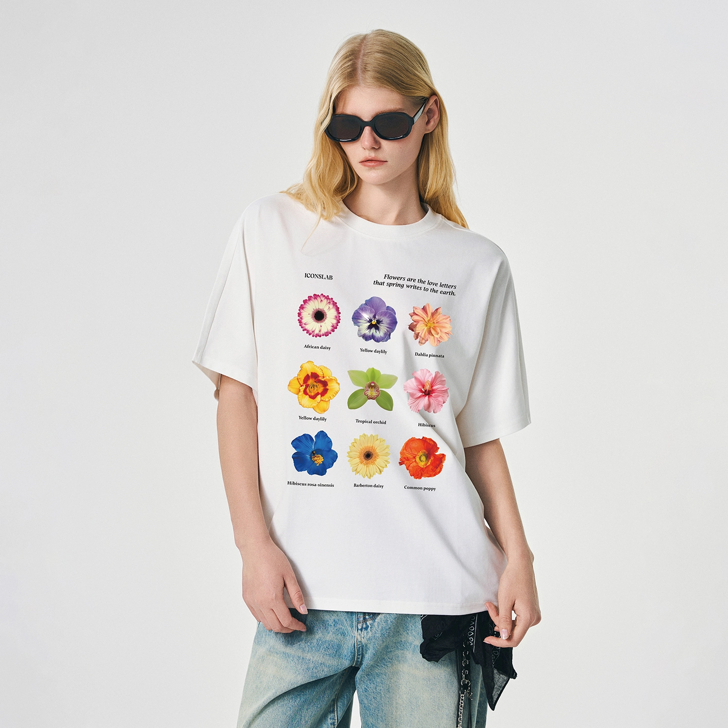 ICONS Lab ICS T