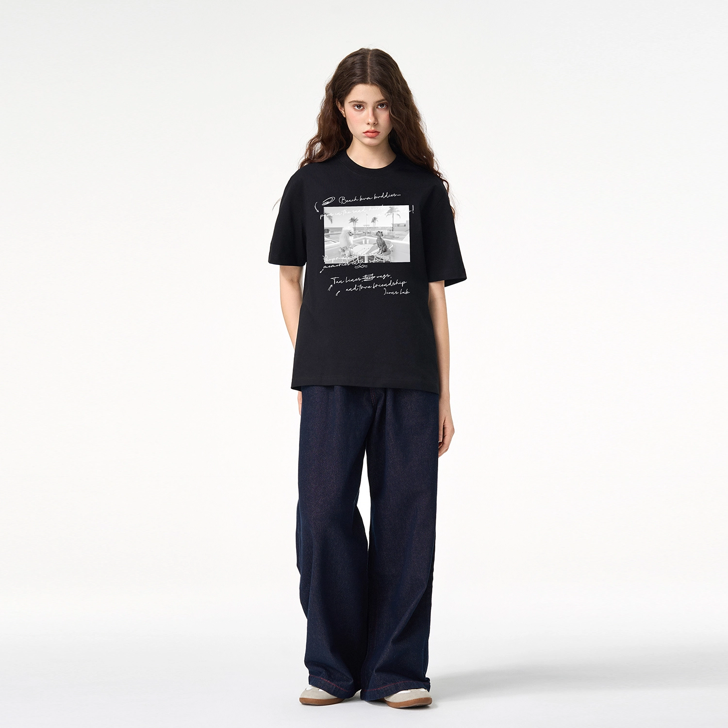 ICONS Lab ICS T