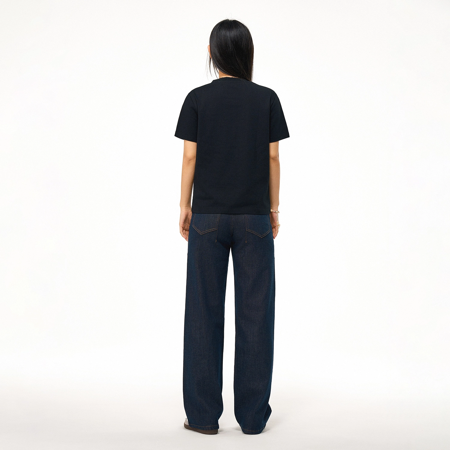 ICONS Lab ICS T