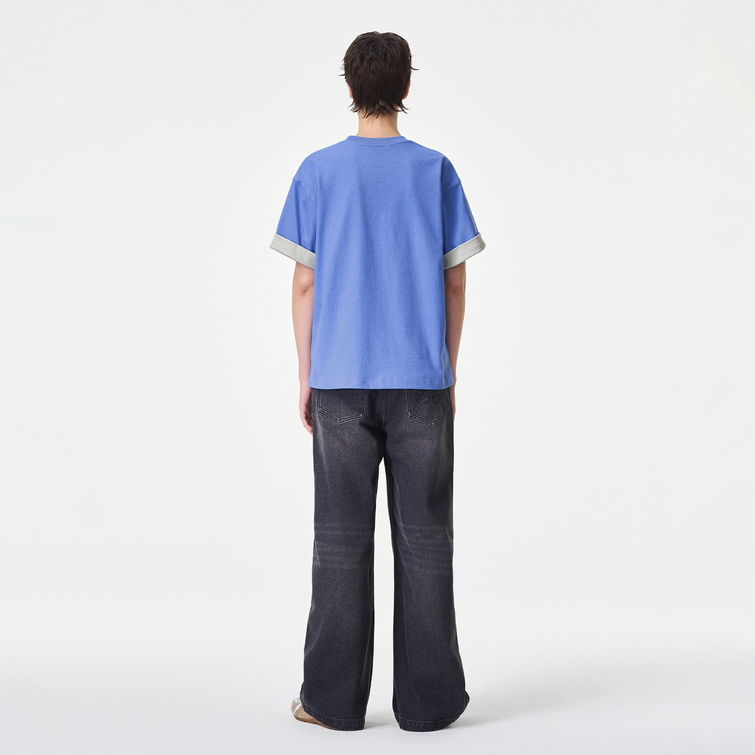 ICONS Lab ICS T