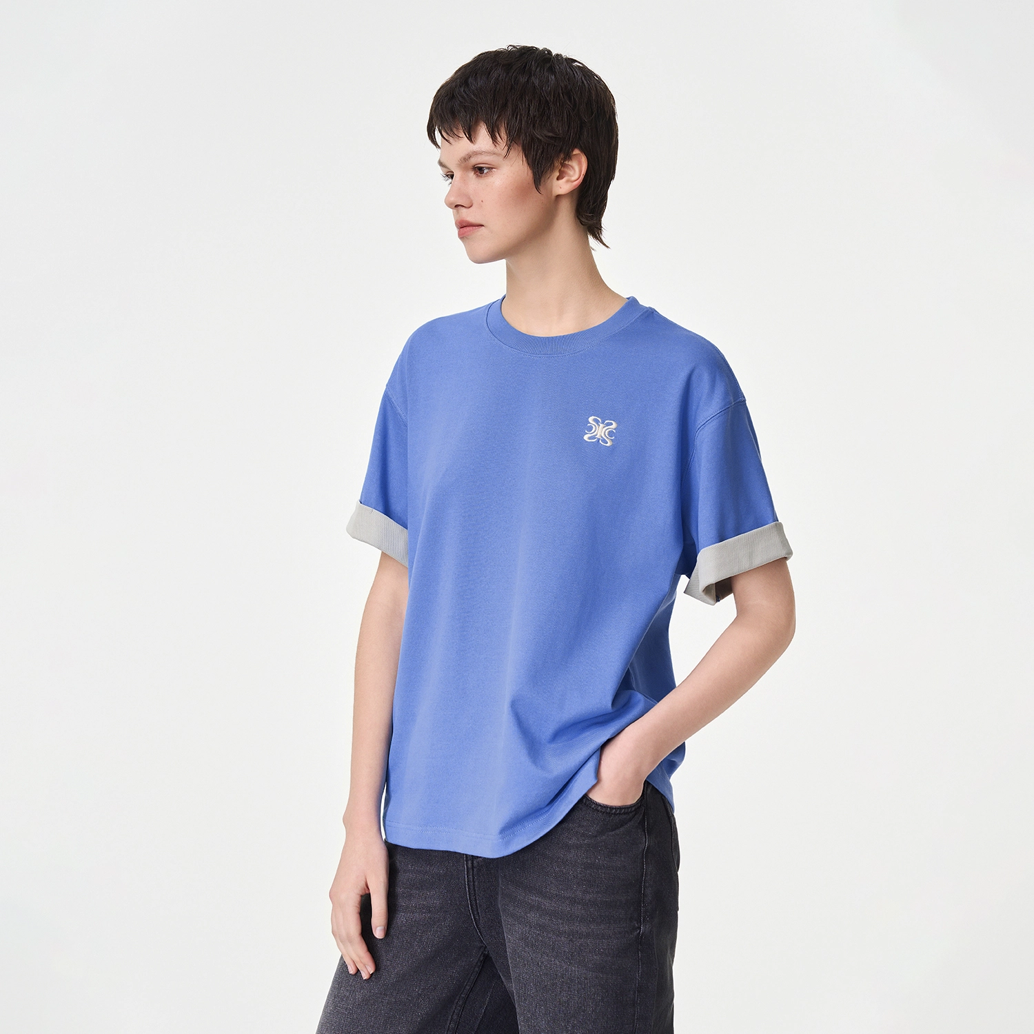 ICONS Lab ICS T