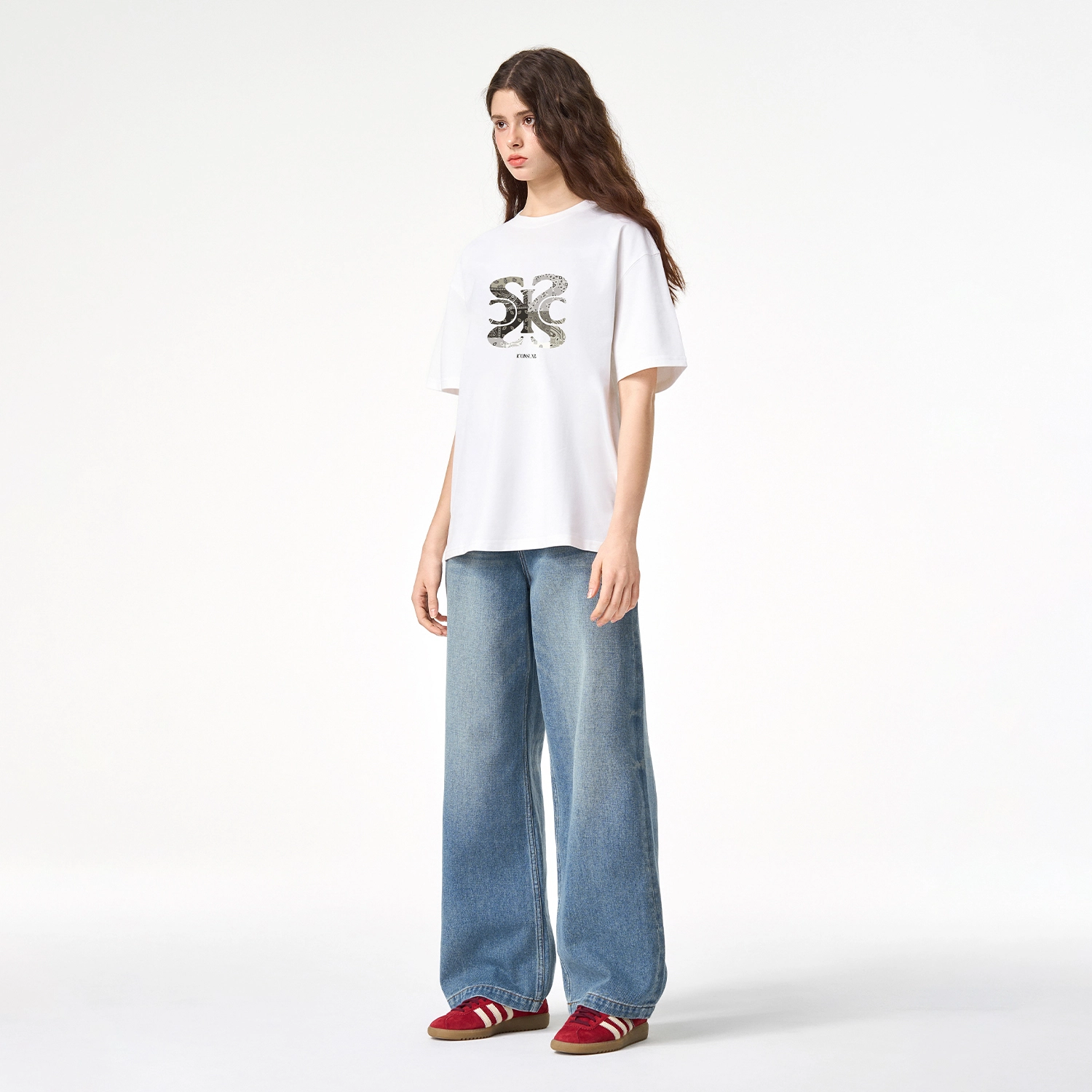 ICONS Lab T