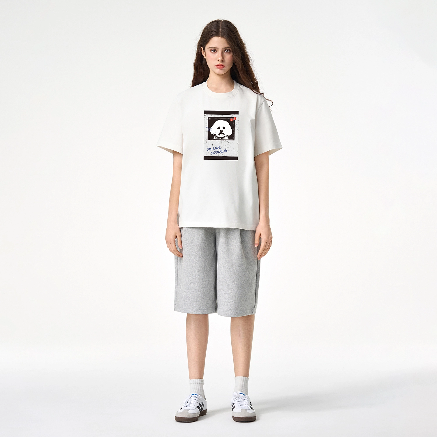 ICONS Lab ICS T