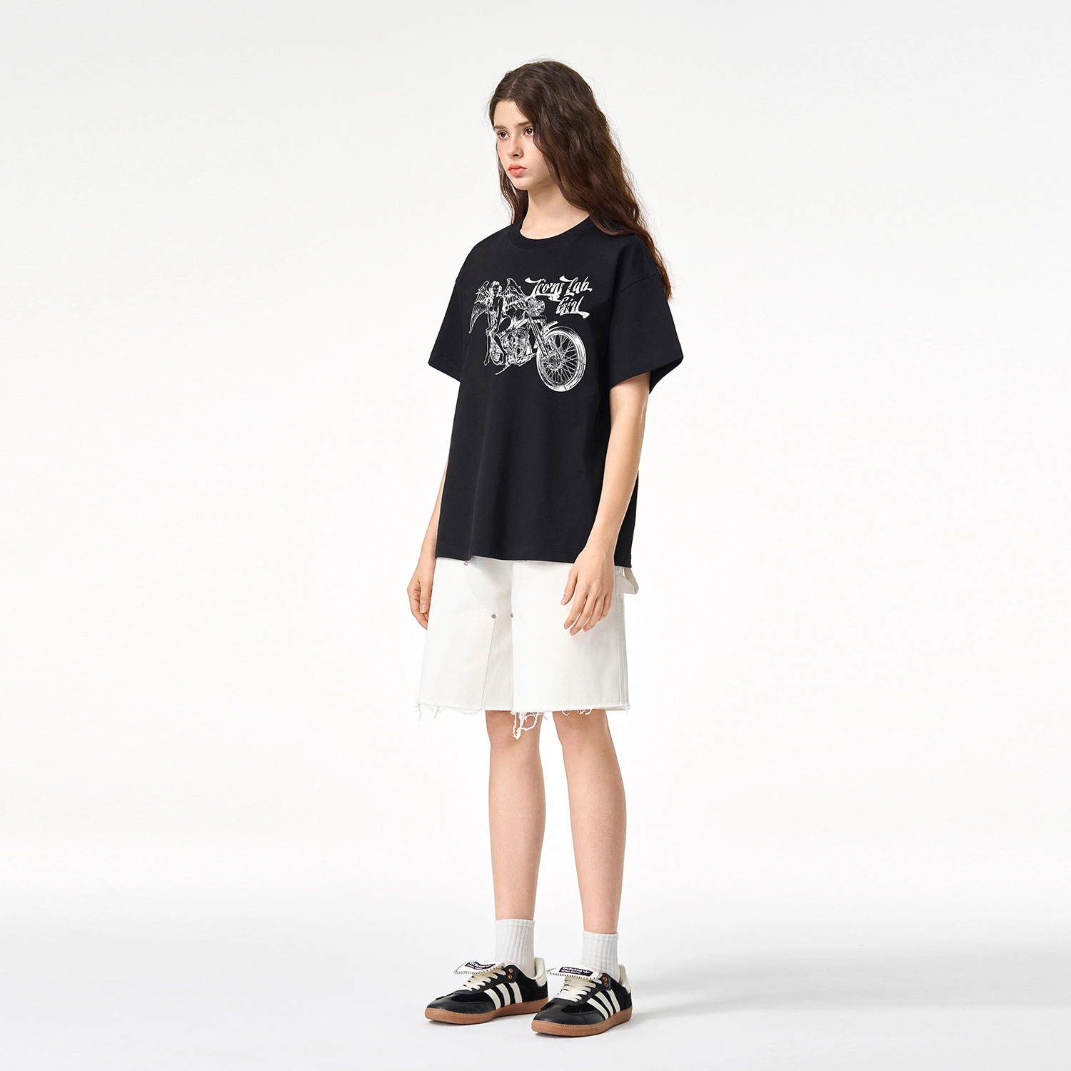 ICONS Lab ICS T