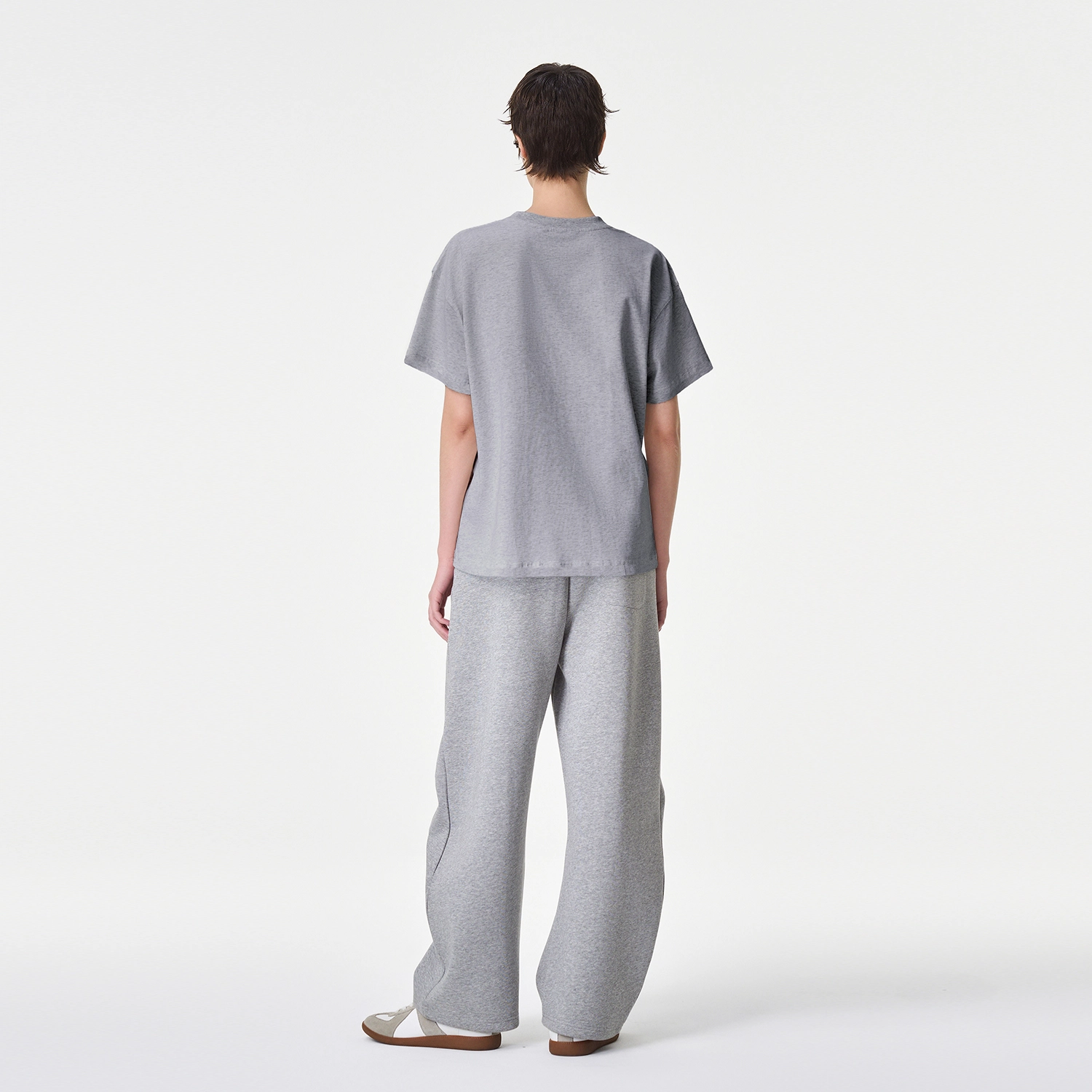 ICONS Lab ICS T