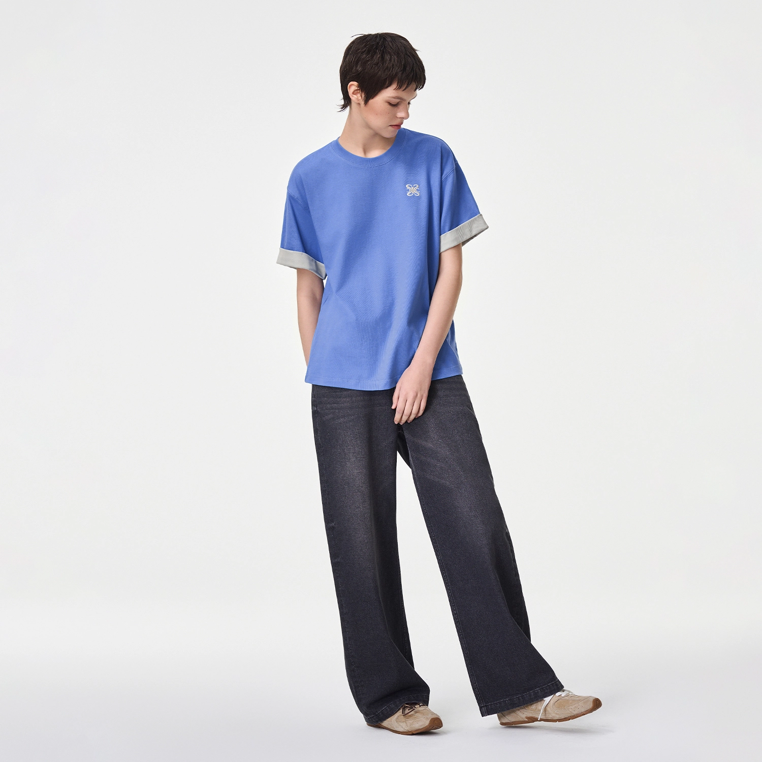 ICONS Lab ICS T