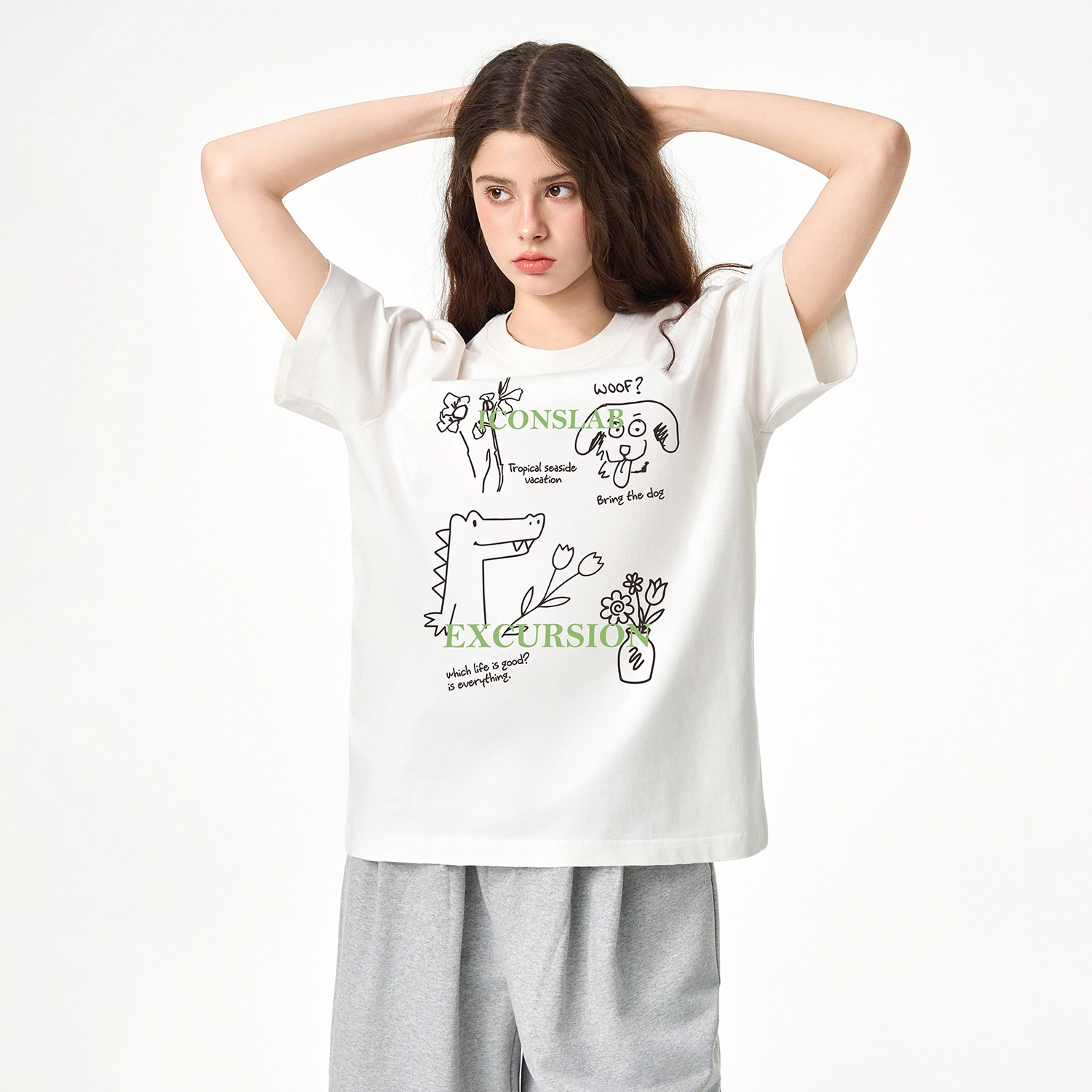 ICONS Lab ICS T