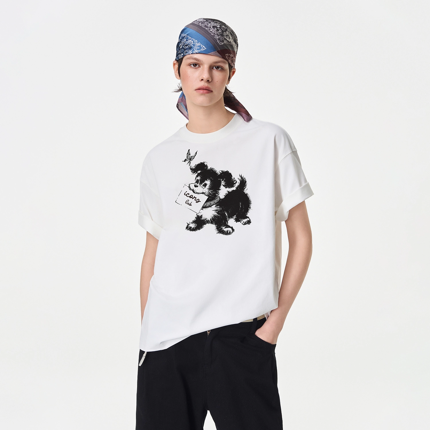 ICONS Lab ICS T