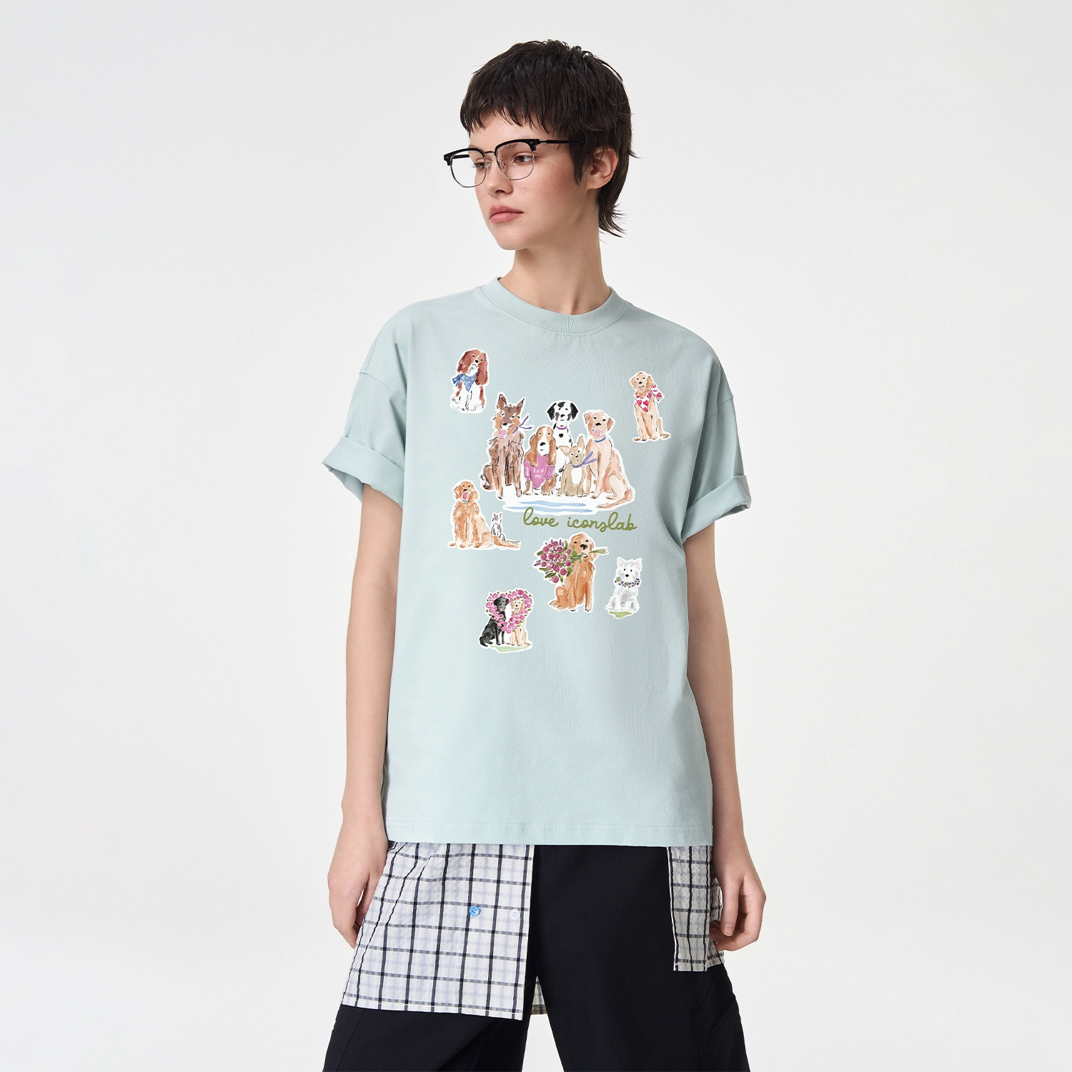 ICONS Lab ICS T