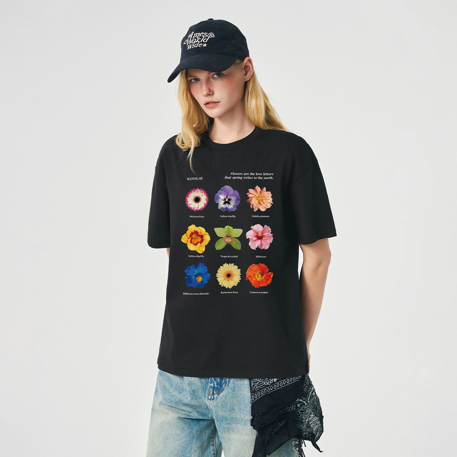 ICONS Lab ICS T