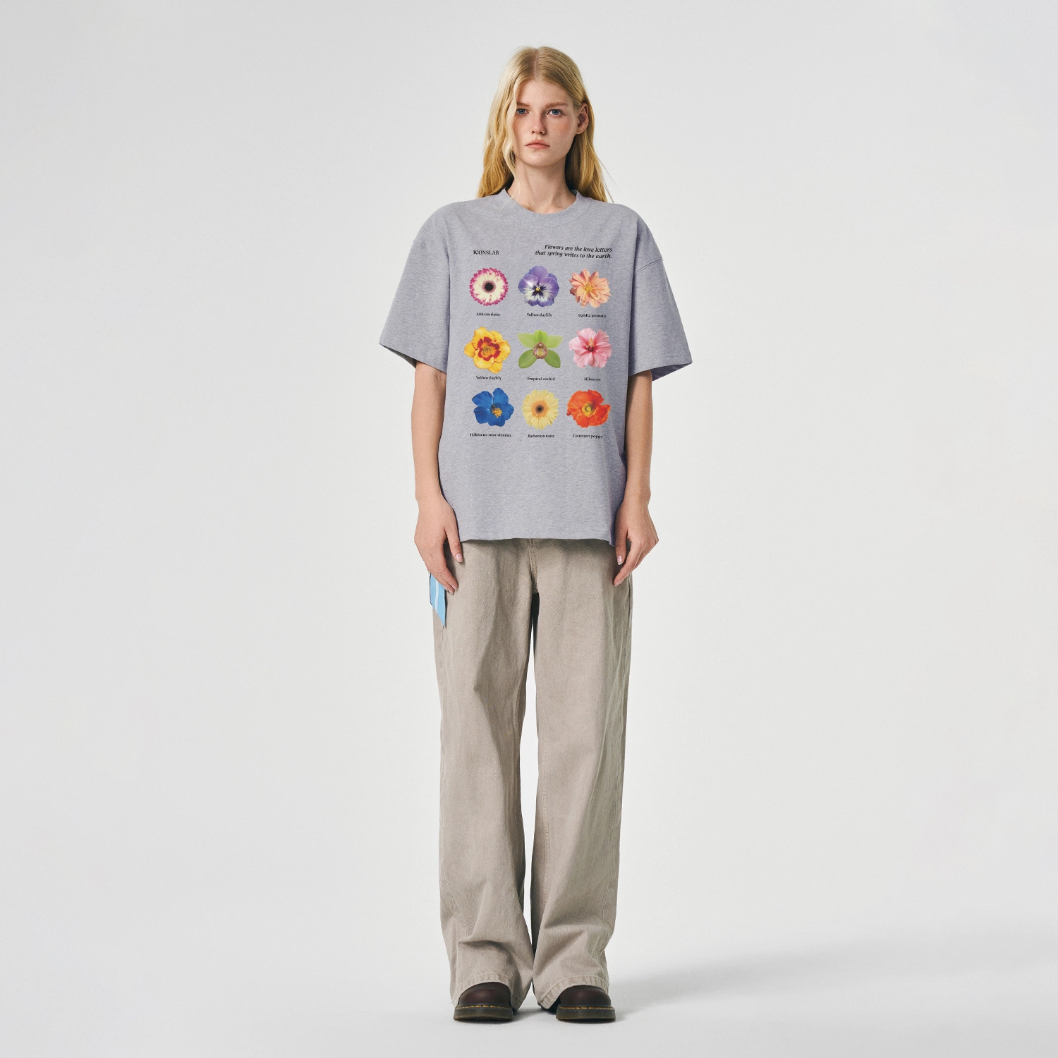 ICONS Lab ICS T