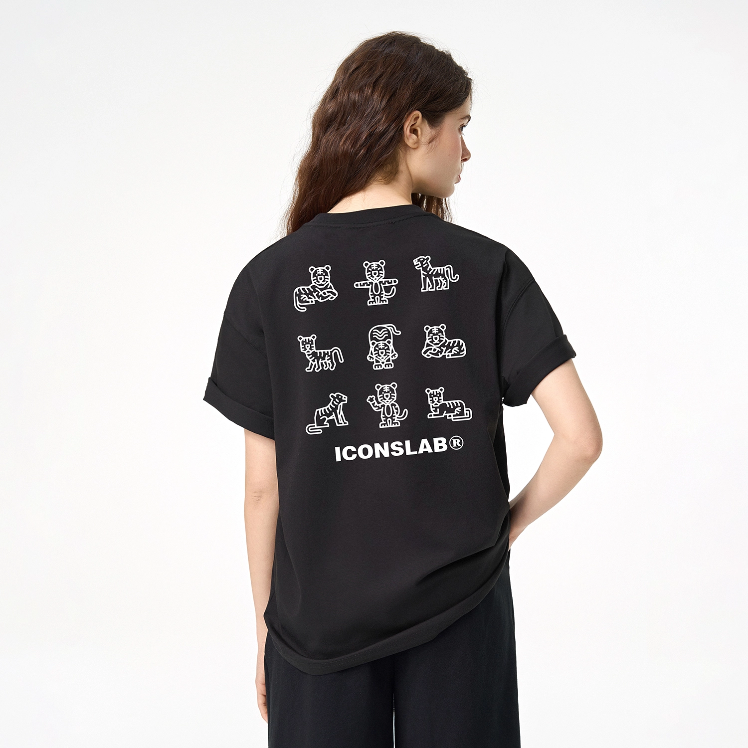 ICONS Lab ICS T