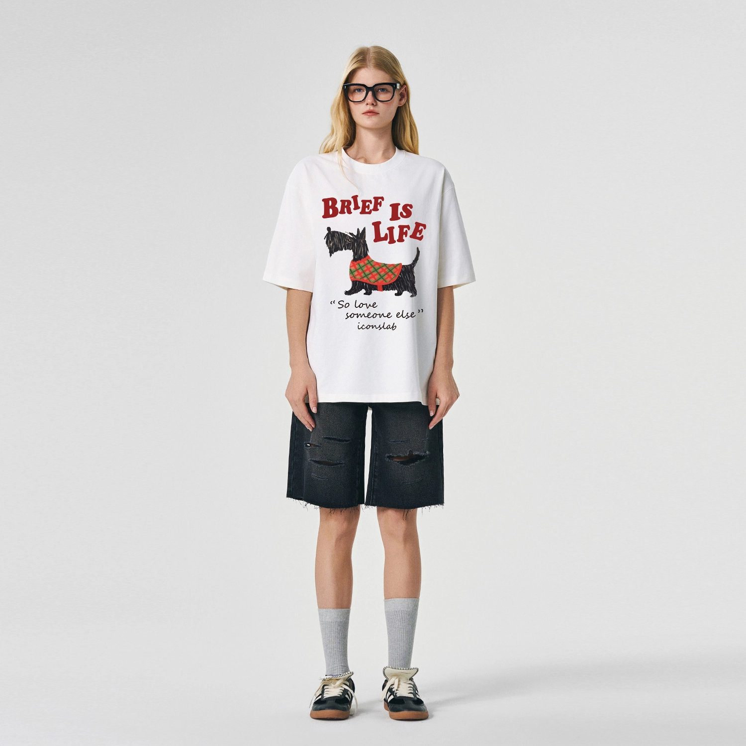 ICONS Lab ICS T
