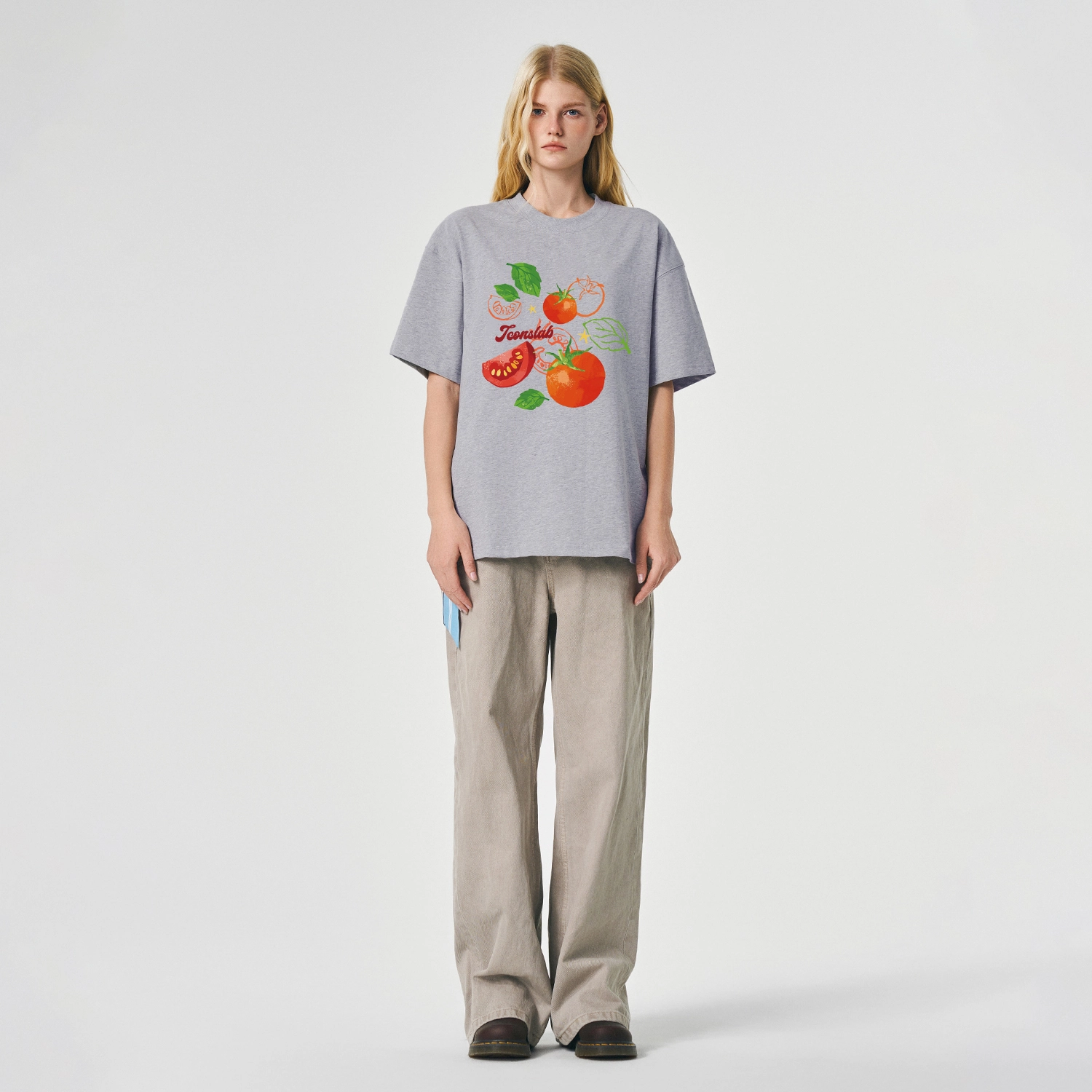 ICONS Lab ICS T