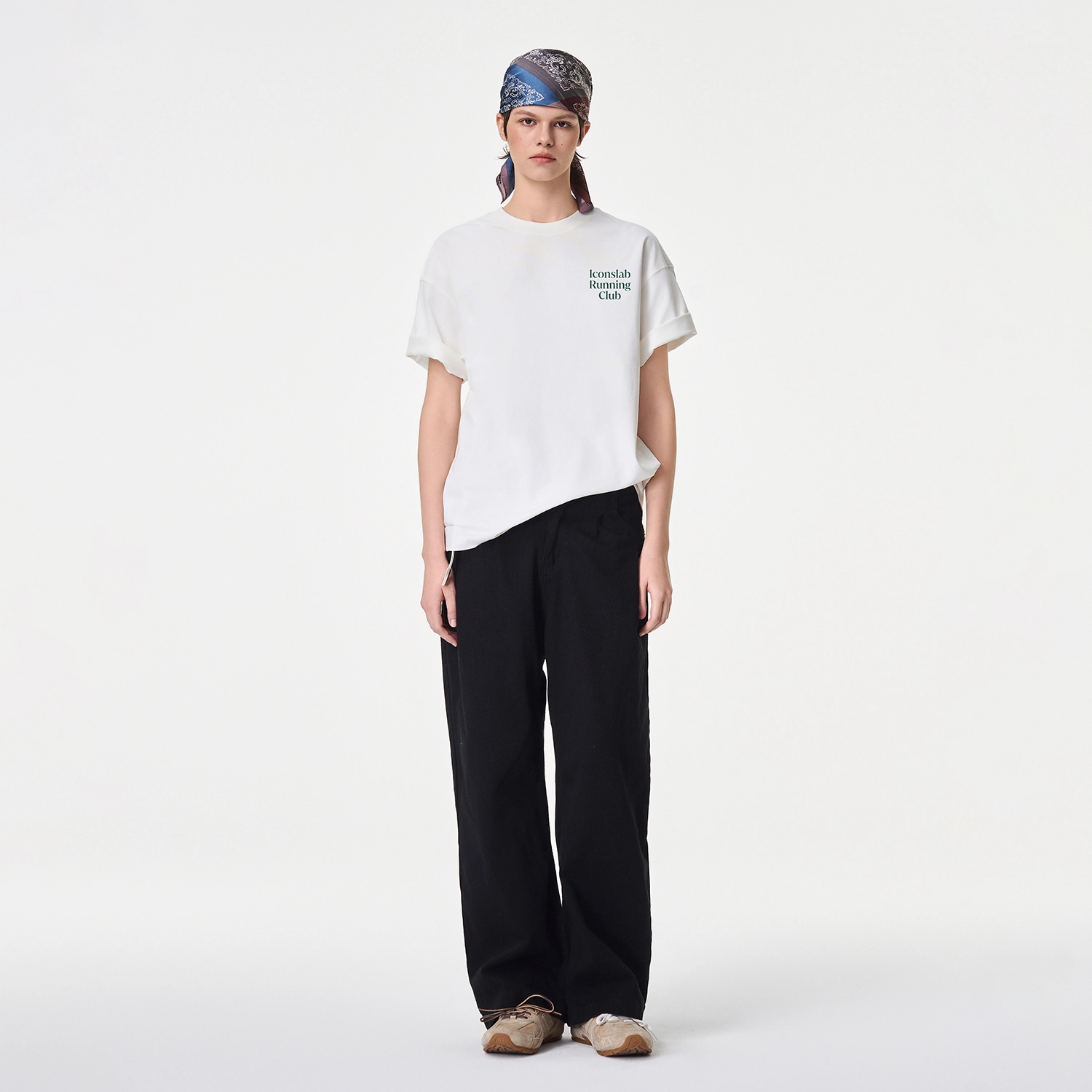 ICONS Lab ICS T