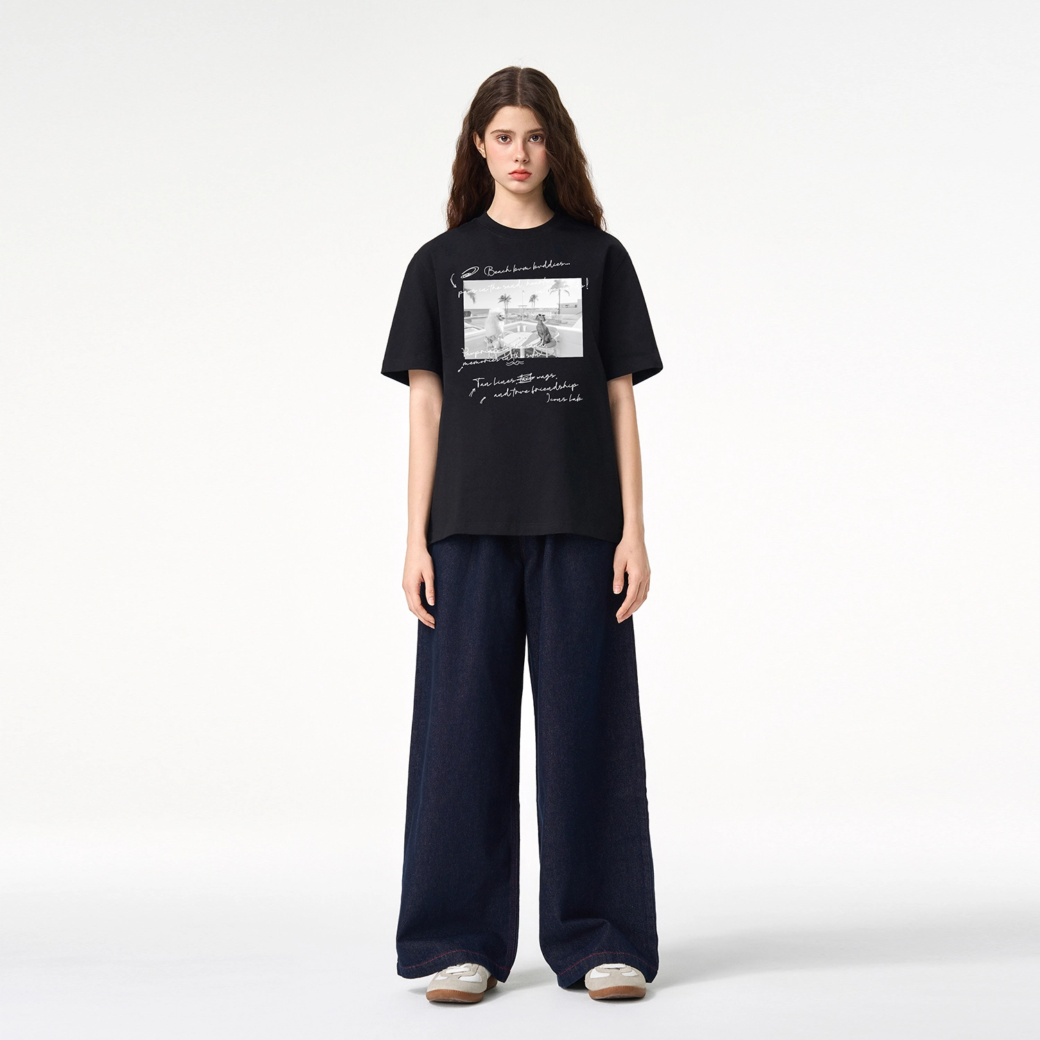 ICONS Lab ICS T