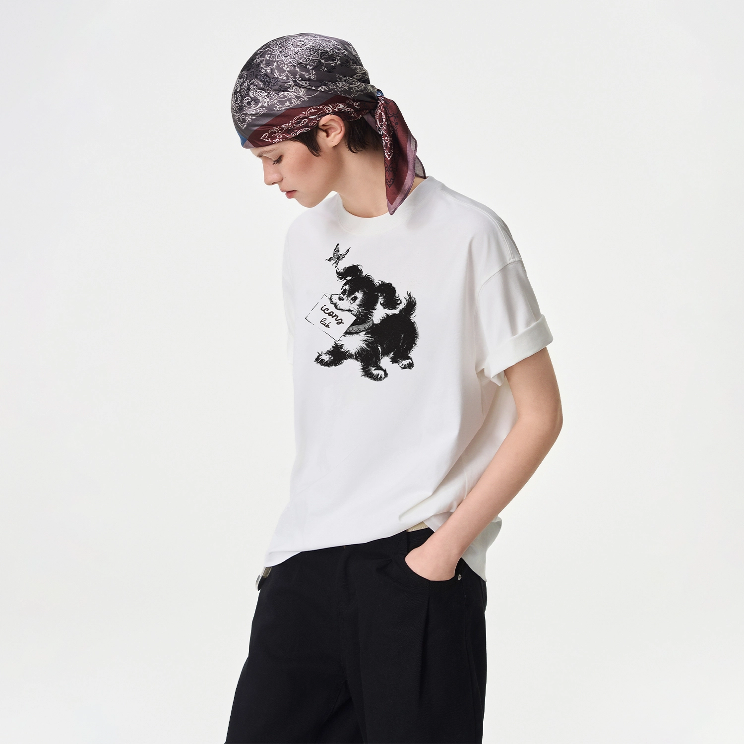 ICONS Lab ICS T