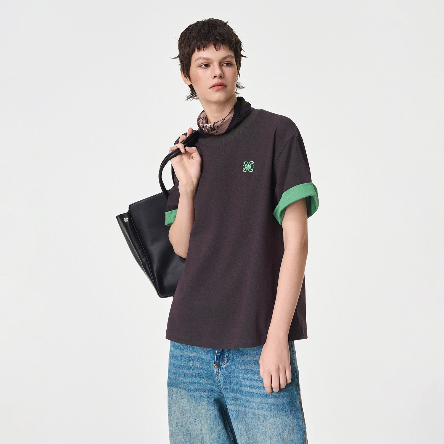 ICONS Lab ICS T