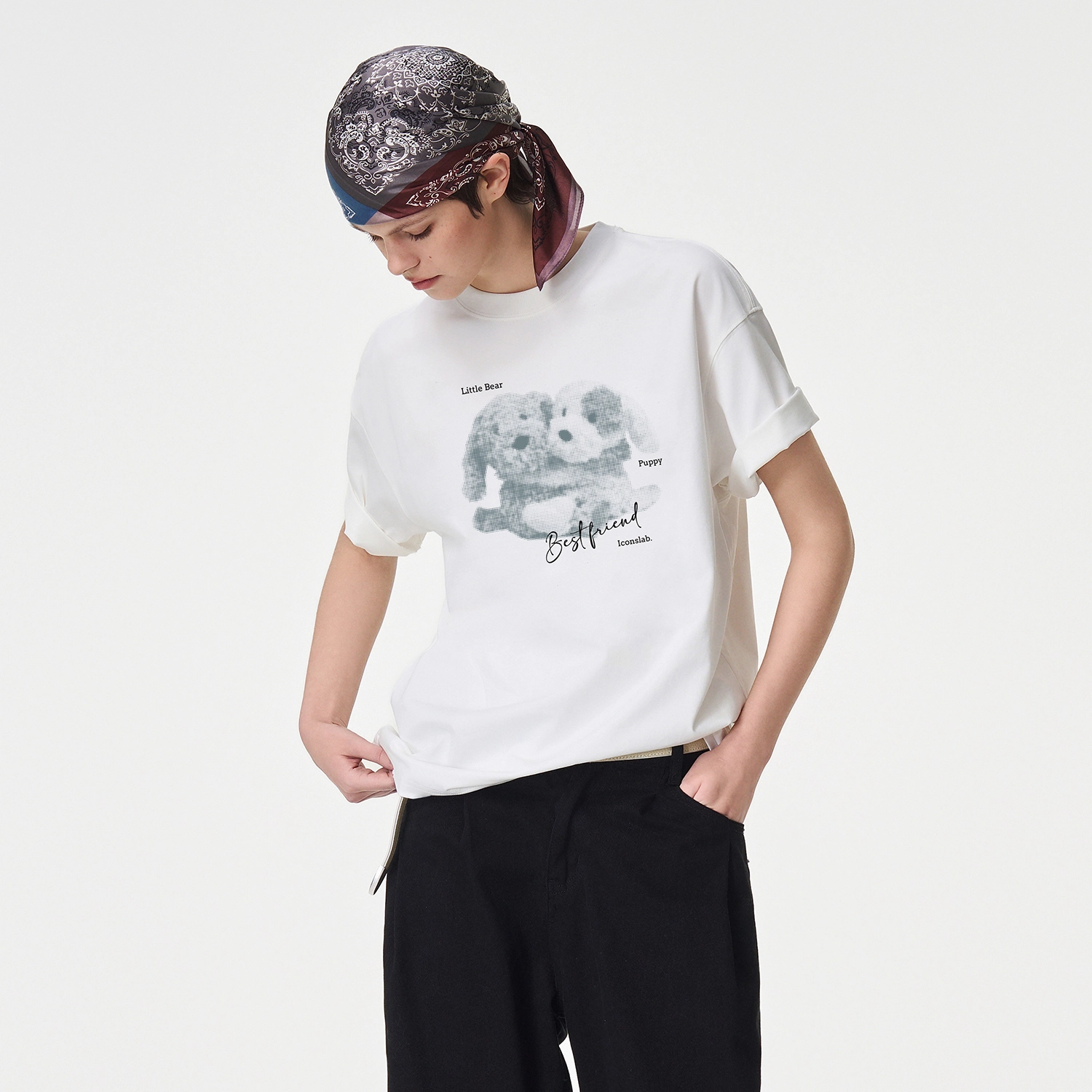 ICONS Lab ICS T