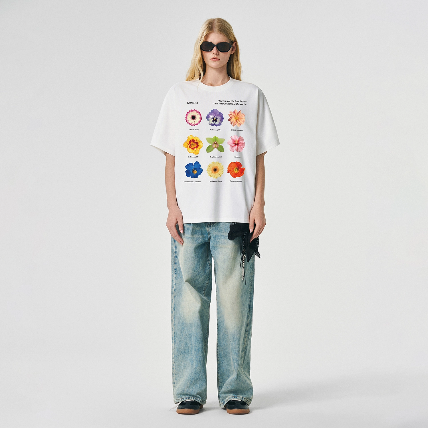 ICONS Lab ICS T